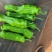 泡椒徐闻泡椒一手货源对接商超量大从优可视频欢迎