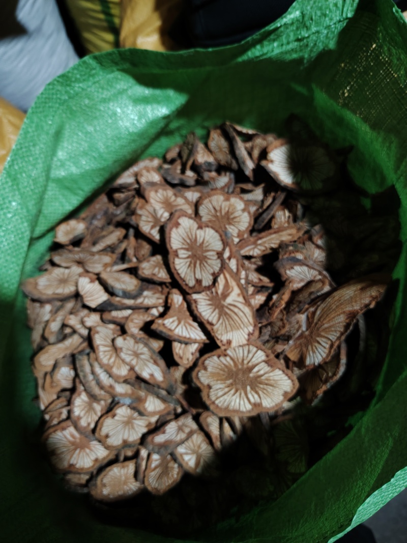 大血藤，血塞通，老藤切片！百年红藤！可预订大货！