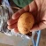 精品黄心小土豆货源充足量大从优质量保证欢迎咨询