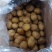 精品黄心小土豆货源充足量大从优质量保证欢迎咨询