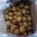 精品黄心小土豆货源充足量大从优质量保证欢迎咨询