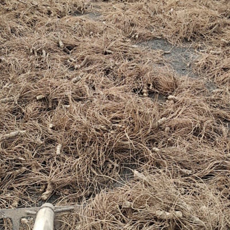 广西钦州浦北野生干货地胆头，我只卖好品质。