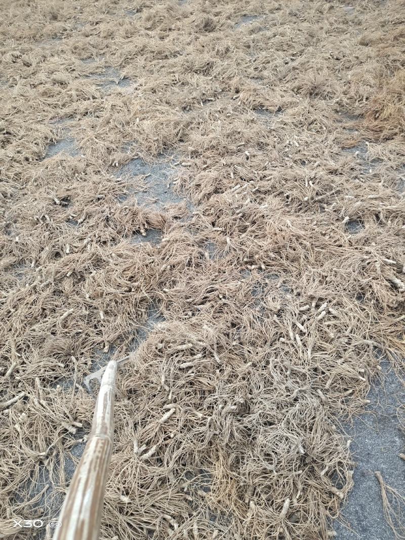 广西钦州浦北野生干货地胆头，我只卖好品质。