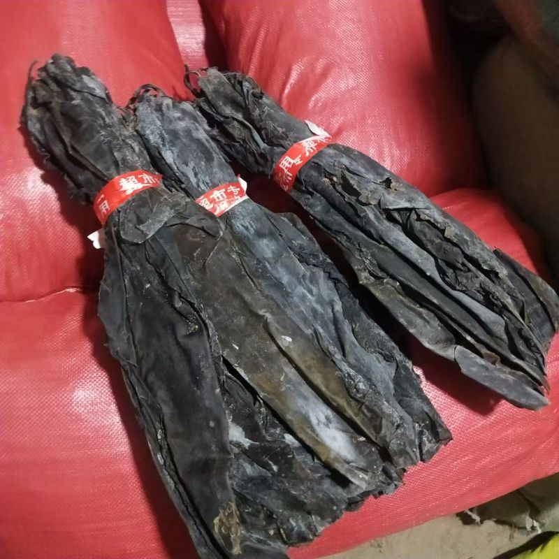 福建特级海带头45cm到50cm