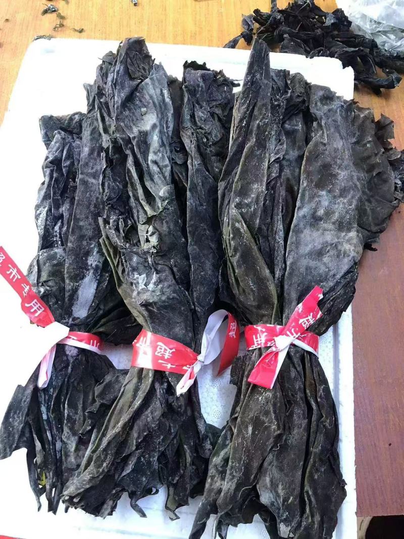 福建特级海带头45cm到50cm