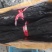 福建特级海带头45cm到50cm