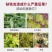 鳌合铁，铁肥，预防黄叶褐色斑点和坏组织