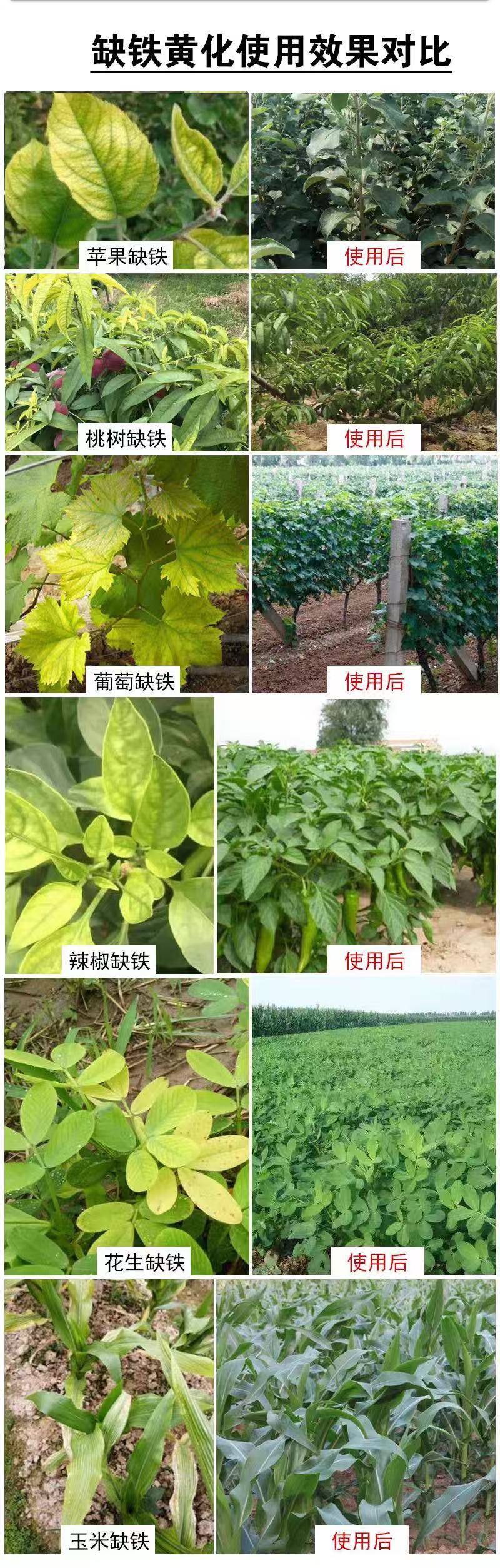 鳌合铁，铁肥，预防黄叶褐色斑点和坏组织