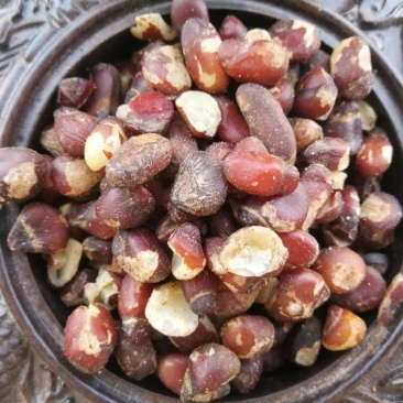 大枫子仁大枫子肉大风子肉大风子仁中药材手工现砸