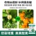 钙肥果蔬钙肥防裂果膨果增色快速补钙提高光合作用