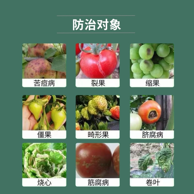 钙肥果蔬钙肥防裂果膨果增色快速补钙提高光合作用