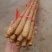 正宗铁棍山药，新鲜出土，产地直营