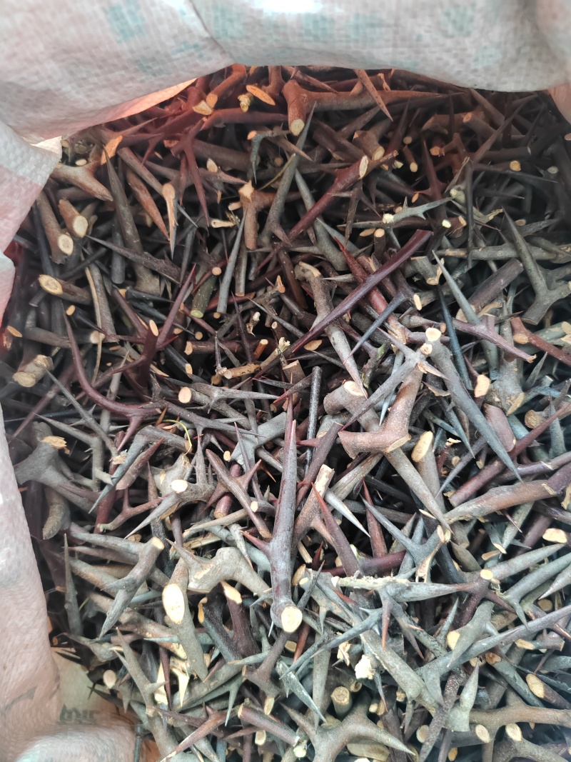 皂角刺