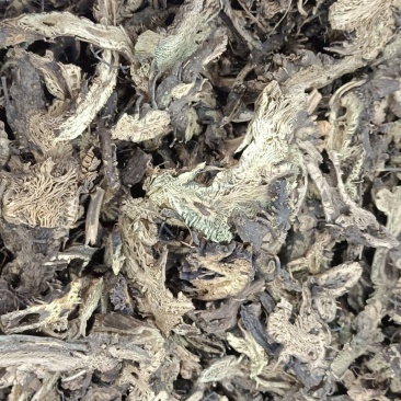 升麻黑升麻绿升麻各种中药产地一手货源，质量和售后保证