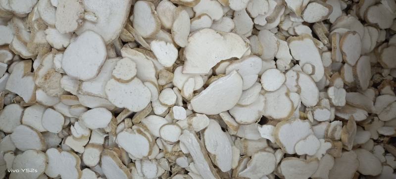 天花粉河北正品天花粉小贵质量上乘