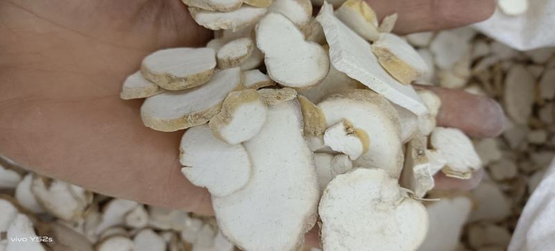 天花粉河北正品天花粉小贵质量上乘