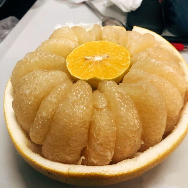 浙江玉环薄皮大果文旦柚新鲜应季当季大又甜白心文旦柚包邮