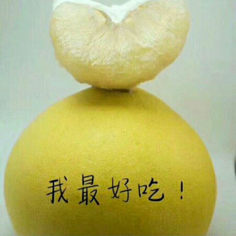 浙江玉环薄皮大果文旦柚新鲜应季当季大又甜白心文旦柚包邮