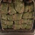 大叶香菜，品质保证，现摘现发，大量有货，欢迎选购
