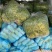 大叶香菜，品质保证，现摘现发，大量有货，欢迎选购