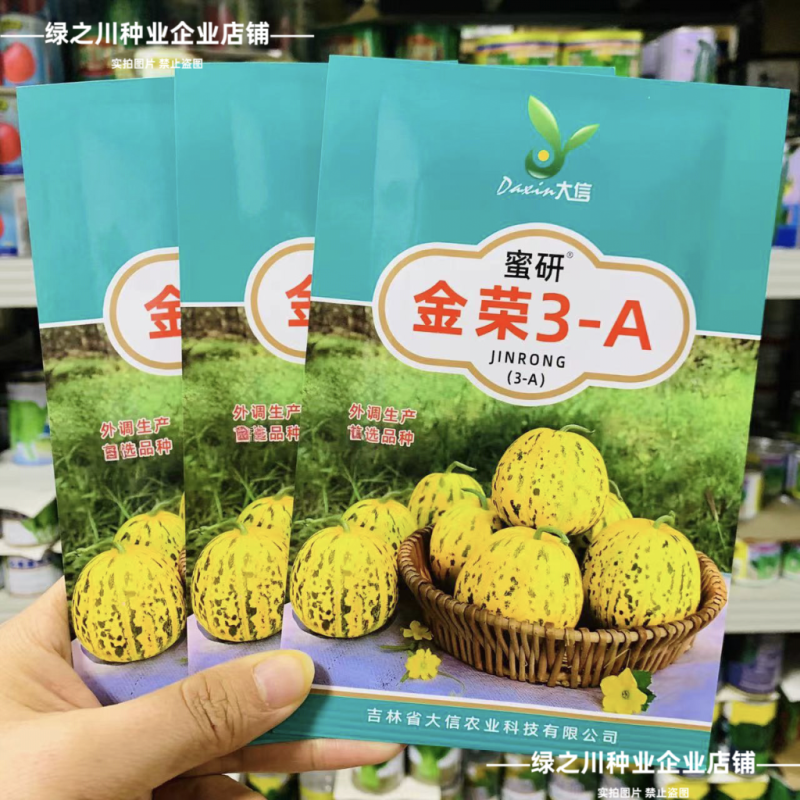 大信花皮甜瓜种子金荣3高糖绿肉八里香甜瓜种子超甜大果香瓜