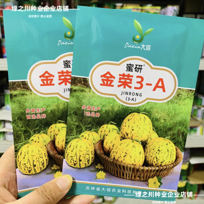 大信花皮甜瓜种子金荣3高糖绿肉八里香甜瓜种子超甜大果香瓜