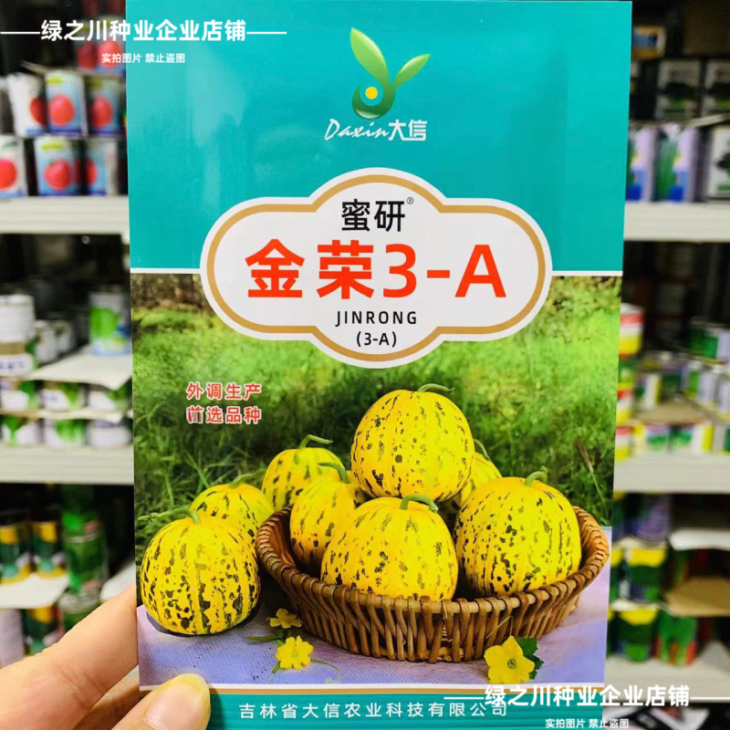 大信花皮甜瓜种子金荣3高糖绿肉八里香甜瓜种子超甜大果香瓜