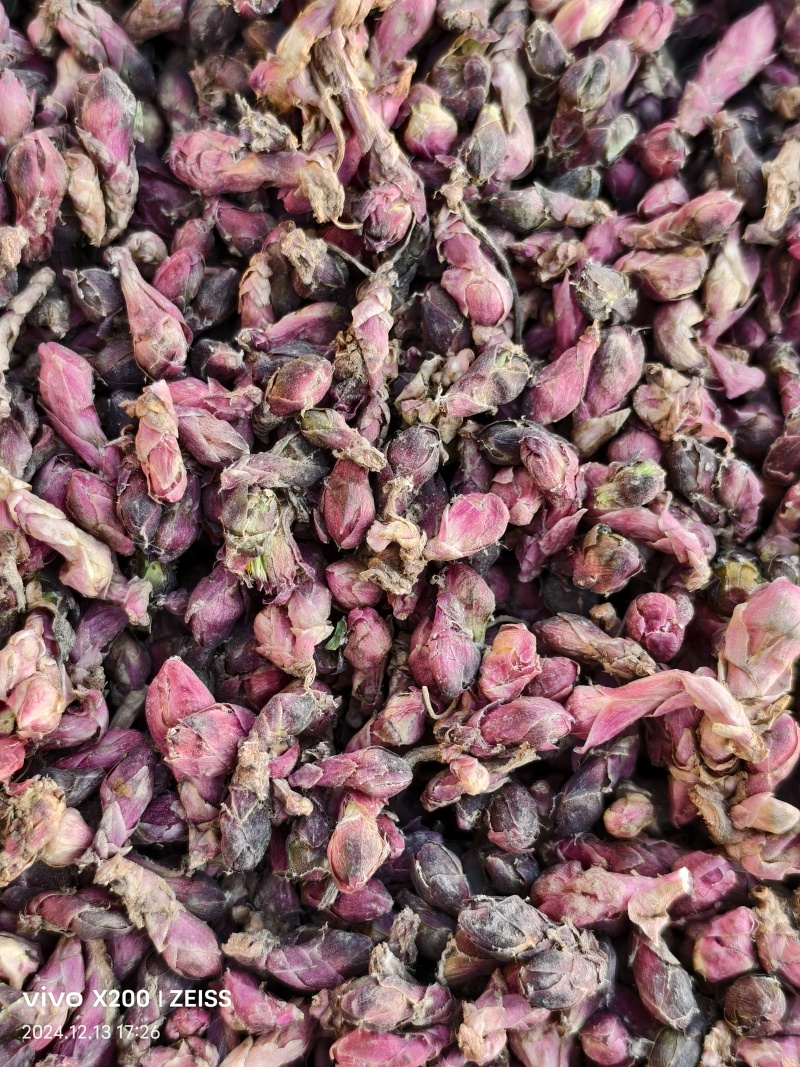 【量大优惠甘肃款冬花品质保障产地直供可视频看货对接药店药厂