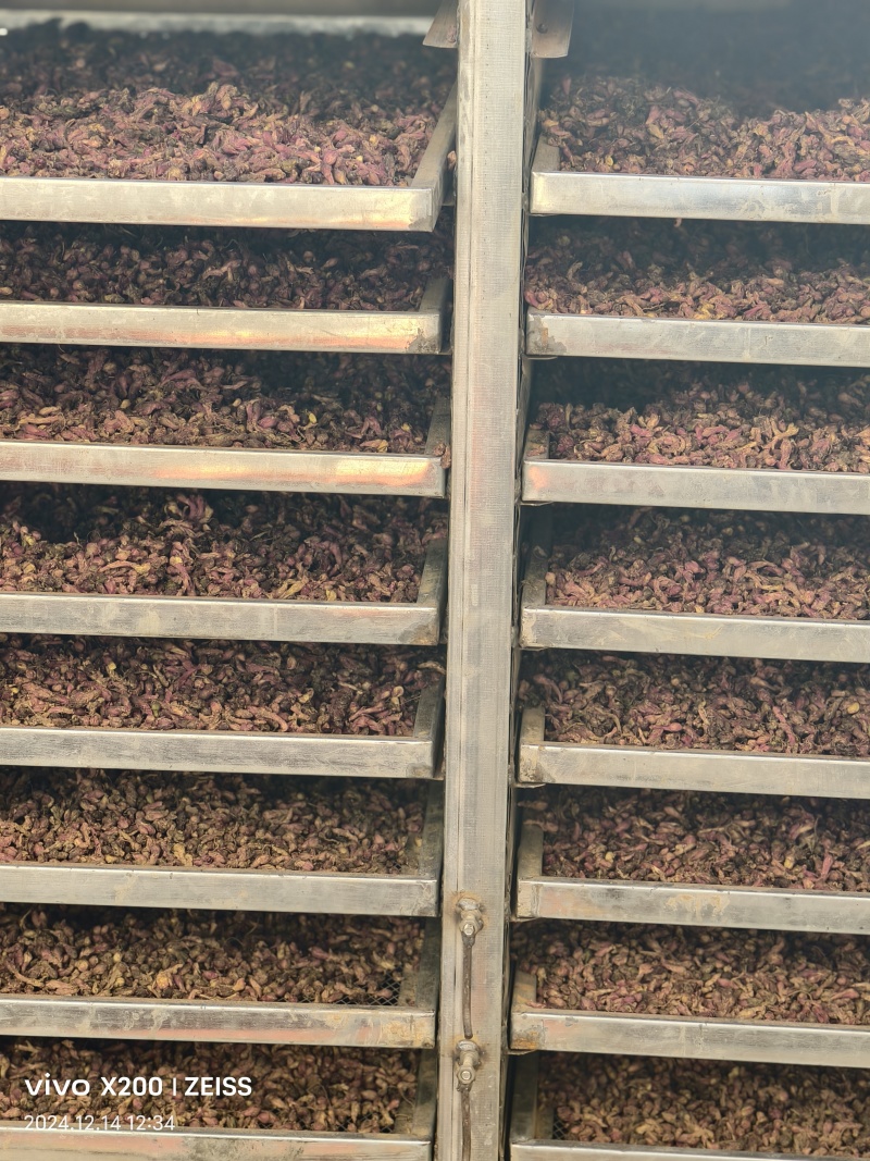 【量大优惠甘肃款冬花品质保障产地直供可视频看货对接药店药厂