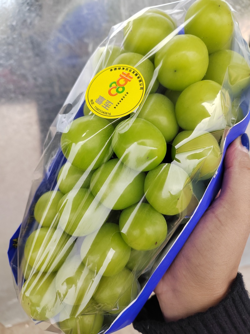 【量大优惠】河北阳光玫瑰葡萄产地直发品质保障
