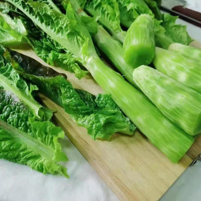 精品青皮莴笋大量供应对接各大市场商超电商加工厂品质保