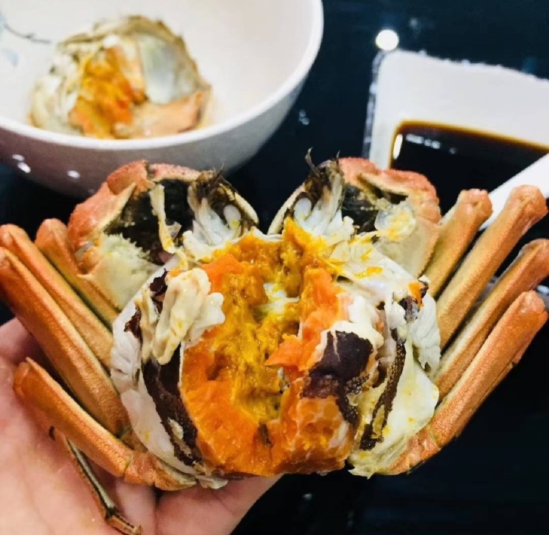 螃蟹🦀