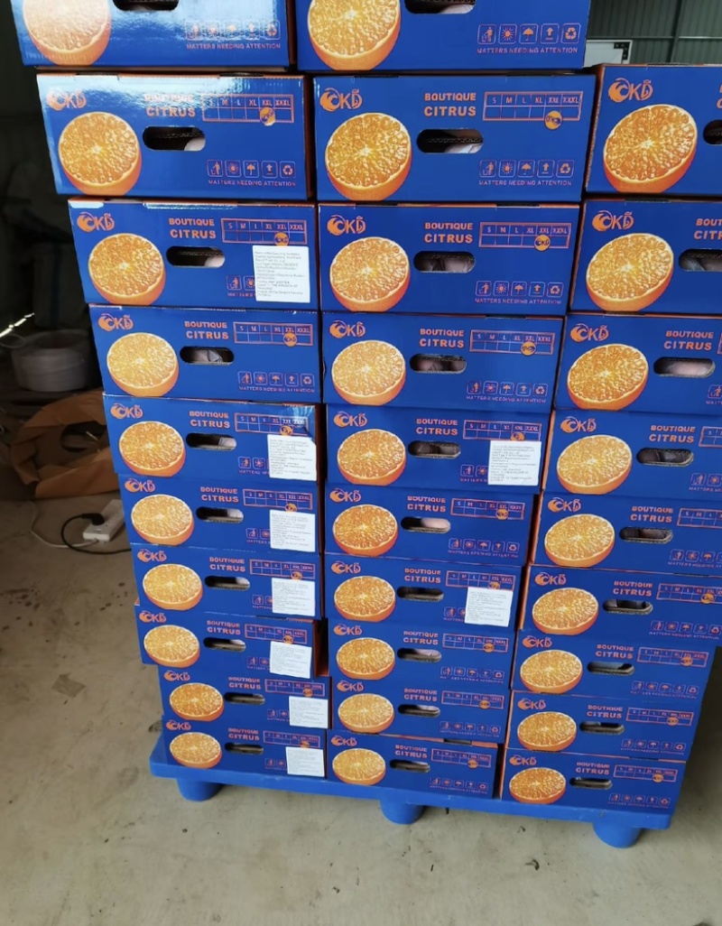 桂林恭城沃柑🍊大量供应中细皮叶面好价低货优