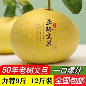 玉环文旦柚子新鲜当季酸甜薄皮白心文旦柚超甜冬季水果包邮