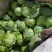 精品甘蓝包菜对接商超安需包装量大从优