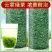 高山云雾绿茶2024新茶明前浓香袋装绿茶茶叶批发袋装包邮