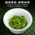 高山云雾绿茶2024新茶明前浓香袋装绿茶茶叶批发袋装包邮