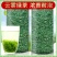 高山云雾绿茶2024新茶明前浓香袋装绿茶茶叶批发袋装包邮