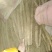 河北小白嘴山药淮山药网袋山药淮山药麻山药双棒山药现货供应
