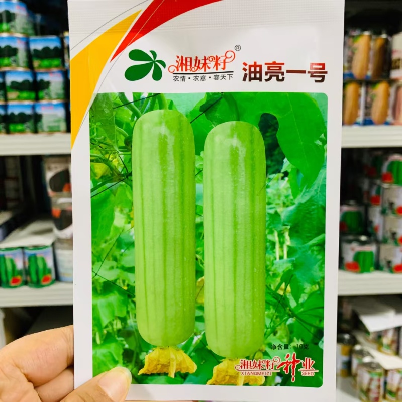 春润早优美味丝瓜种籽高产早熟短棒肉丝瓜种子香丝瓜水瓜种子