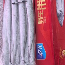 一手货源，专注品质好货，质量非常好，全国冷链物流发货