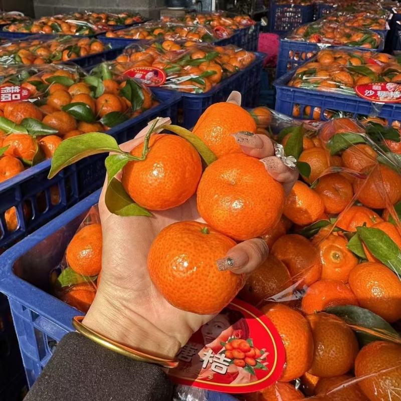 广西砂糖橘，纯甜无渣，对接国内市场，出口品质保证
