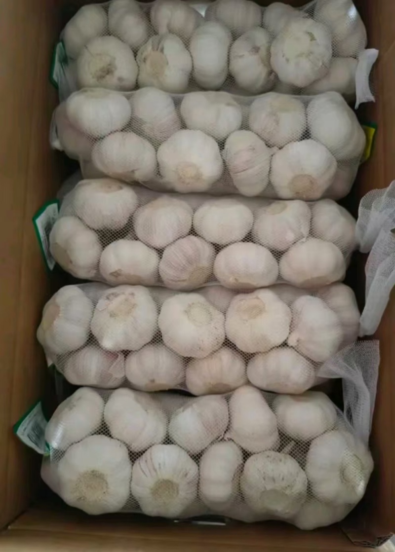 大蒜出口《公司资质齐全》各种规格加工一条龙服务