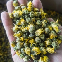 菊花（胎菊，江苏菊，杭白菊，北京菊等）