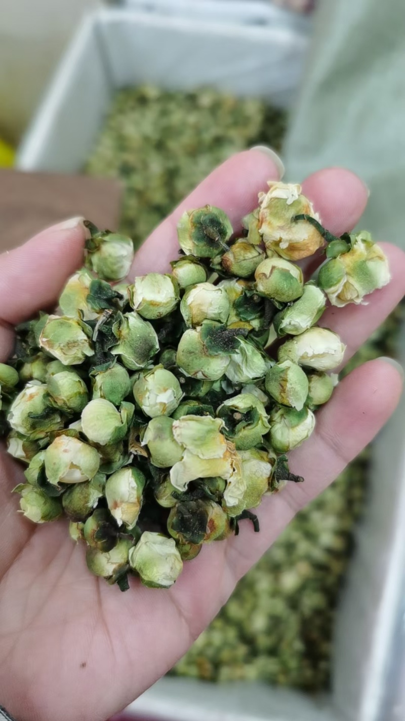 雪莲花茶雪莲茶干花雪莲花山茶花茶树花