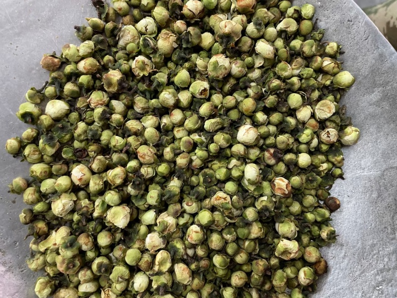 雪莲花茶雪莲茶干花雪莲花山茶花茶树花