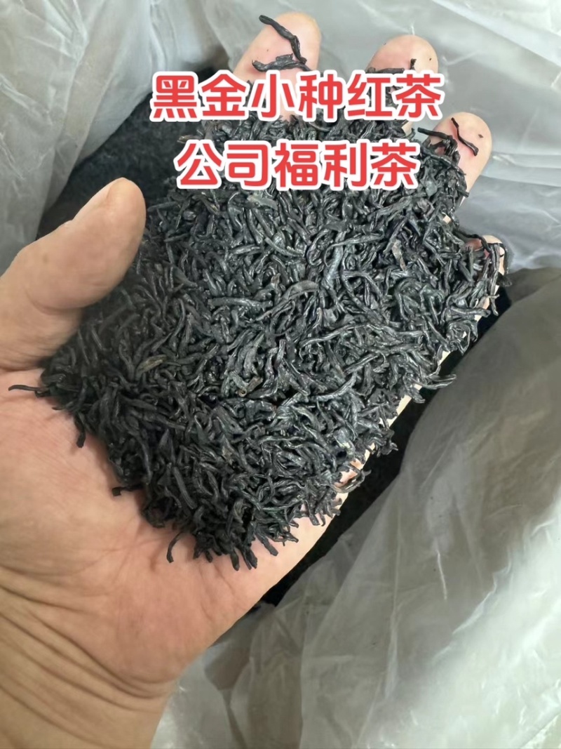 2025年新茶武夷山红茶桂圆香正山小种浓香型茶叶散装批发