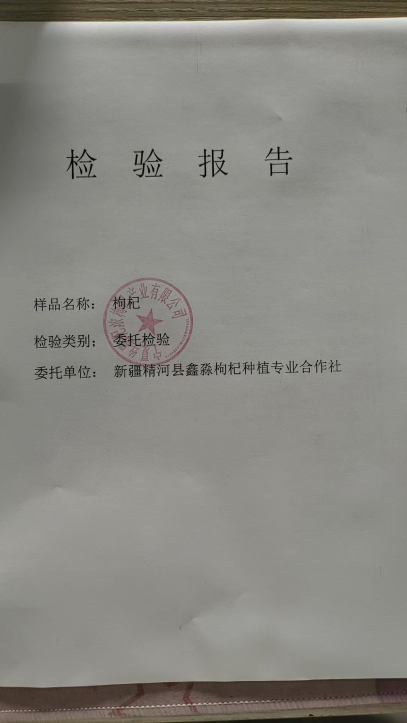 红枸杞子新疆精河特产无加工无熏无硫晒干原味果干包邮批发