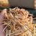 牛羊草料