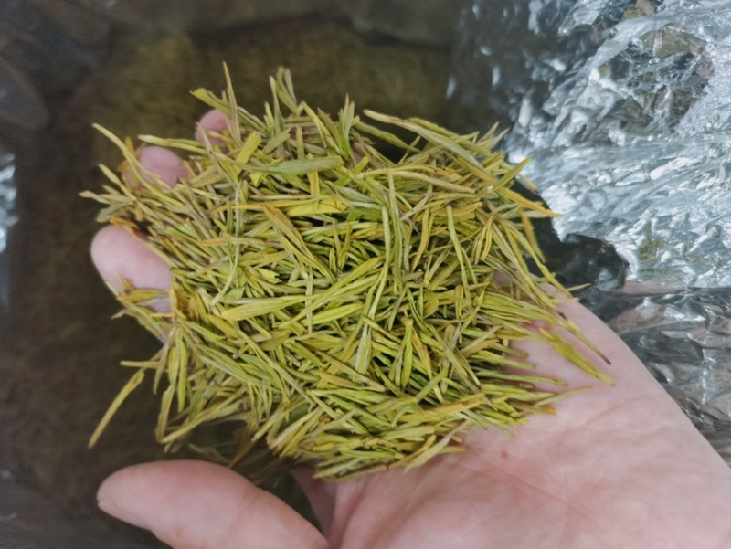 茶叶绿茶安吉白茶黄金芽黄金叶茶高档茶叶可礼盒